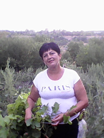 Tatyana, 63, Kyiv