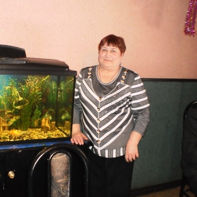 Lyudmila, 65, Borovichi