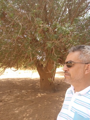 Abderrahmane talebi, 49, Algiers
