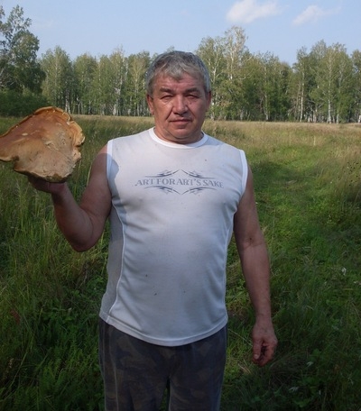 Vyacheslav, 69, Troitsk