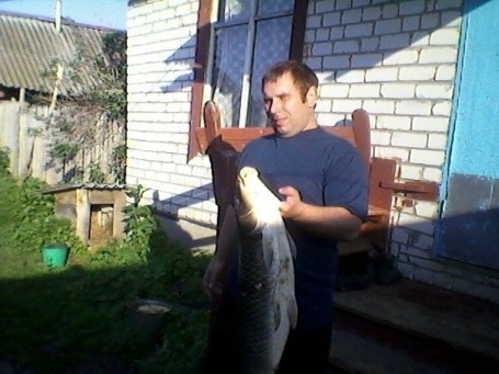 Aleksej, 35, Dimitrovgrad