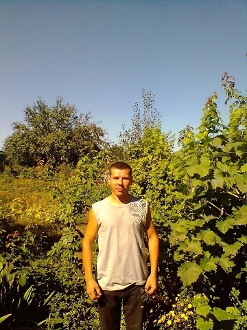 Denis, 35, Shchelkovo