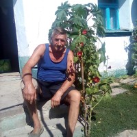 Валентин, 67, Kopychyntsi, Тернопольская, Ukraine
