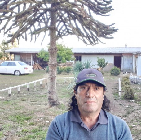 Pedro, 60, Osorno