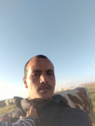 Zenasli, 27, Tlemcen