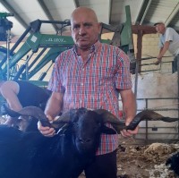 Manuel, 66, Zamora, Andalucía, Spain