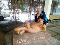 Анатолий, 58, Balakliya