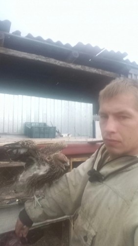 Антон, 28, Kamyshlov