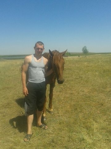 Владимир, 32, Zernograd