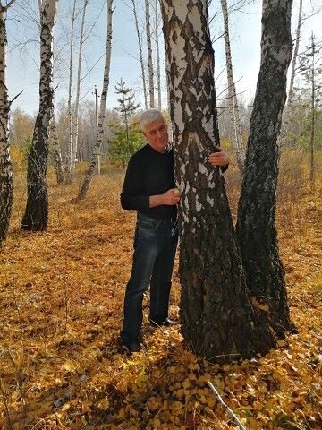 Виктор Иванович, 66, Surgut