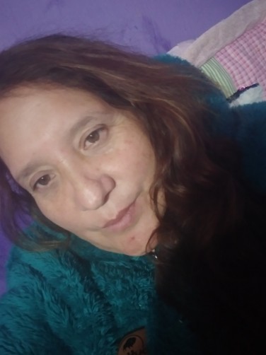 Lilian, 53, Santiago