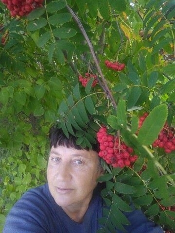 Natalia, 62, Saint Petersburg