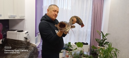 Василий, 42, Pilsen