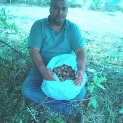 Bayram, 48, Amasya