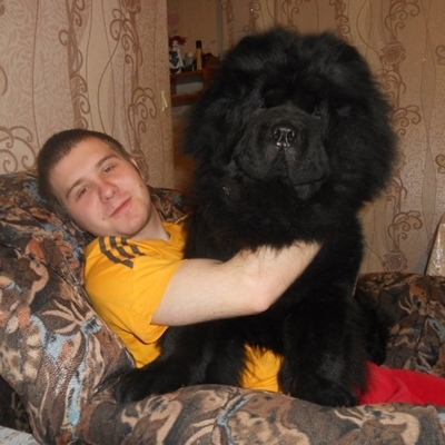 Данил, 26, Sosnovoborsk