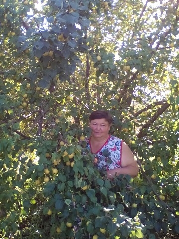 Elena, 59, Biysk