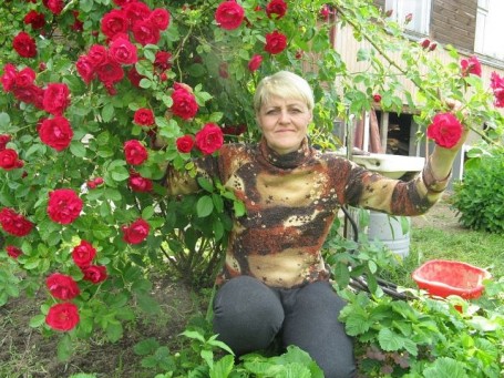 Galina, 60, Minsk