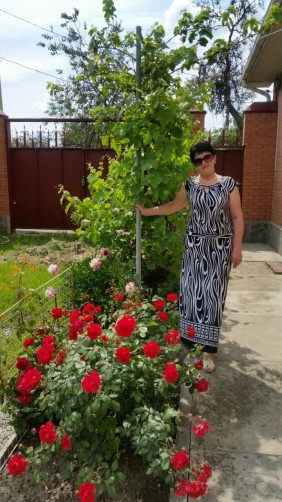 Irina, 58, Rostov-na-Donu
