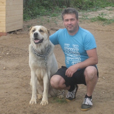 Vyacheslav, 48, Syamzha