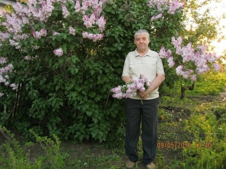 Aleksey, 64, Pallasovka